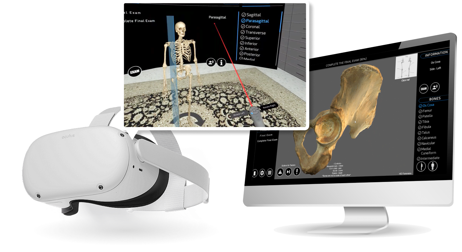 Learn Osteology PC and VR collage