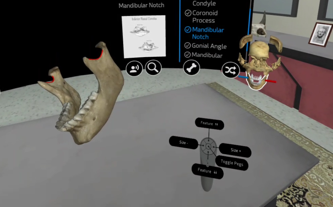learn osteology platform virtual reality