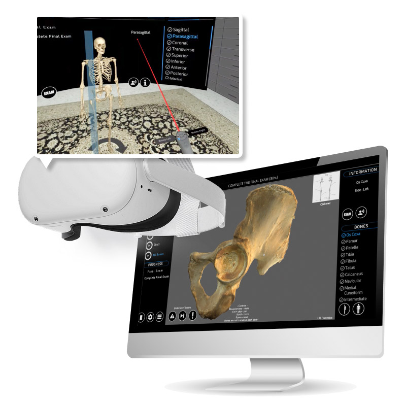 Learn-Osteaology-Software